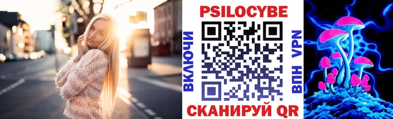 гидра зеркало Каспийск Галлюциногенные грибы Cubensis